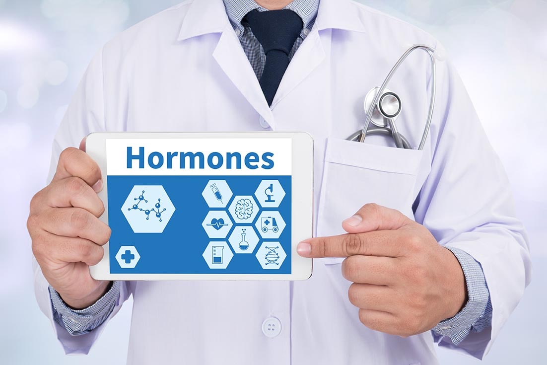 Doctor showing human hormone ipad